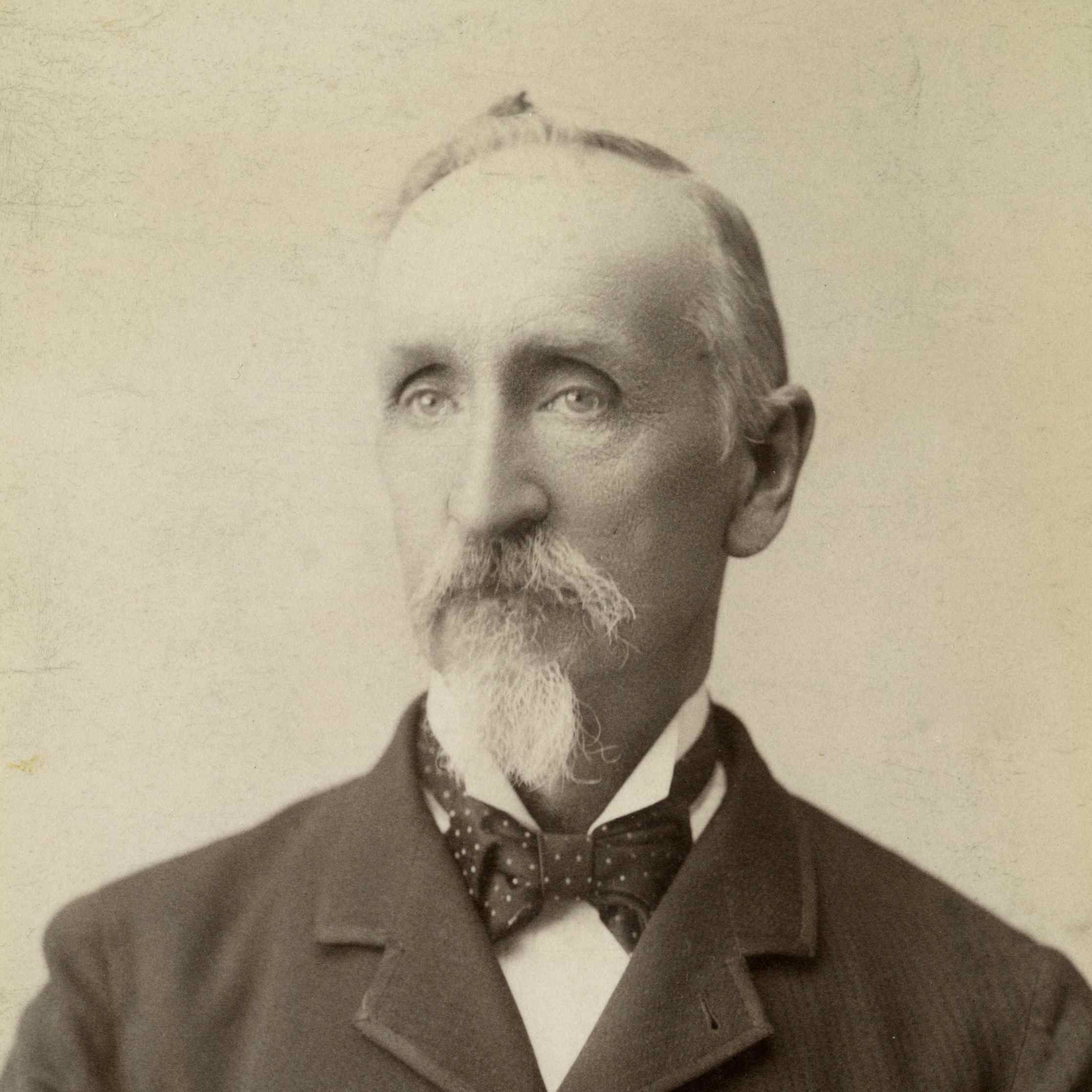 William Henry Stott (1830 - 1906) Profile